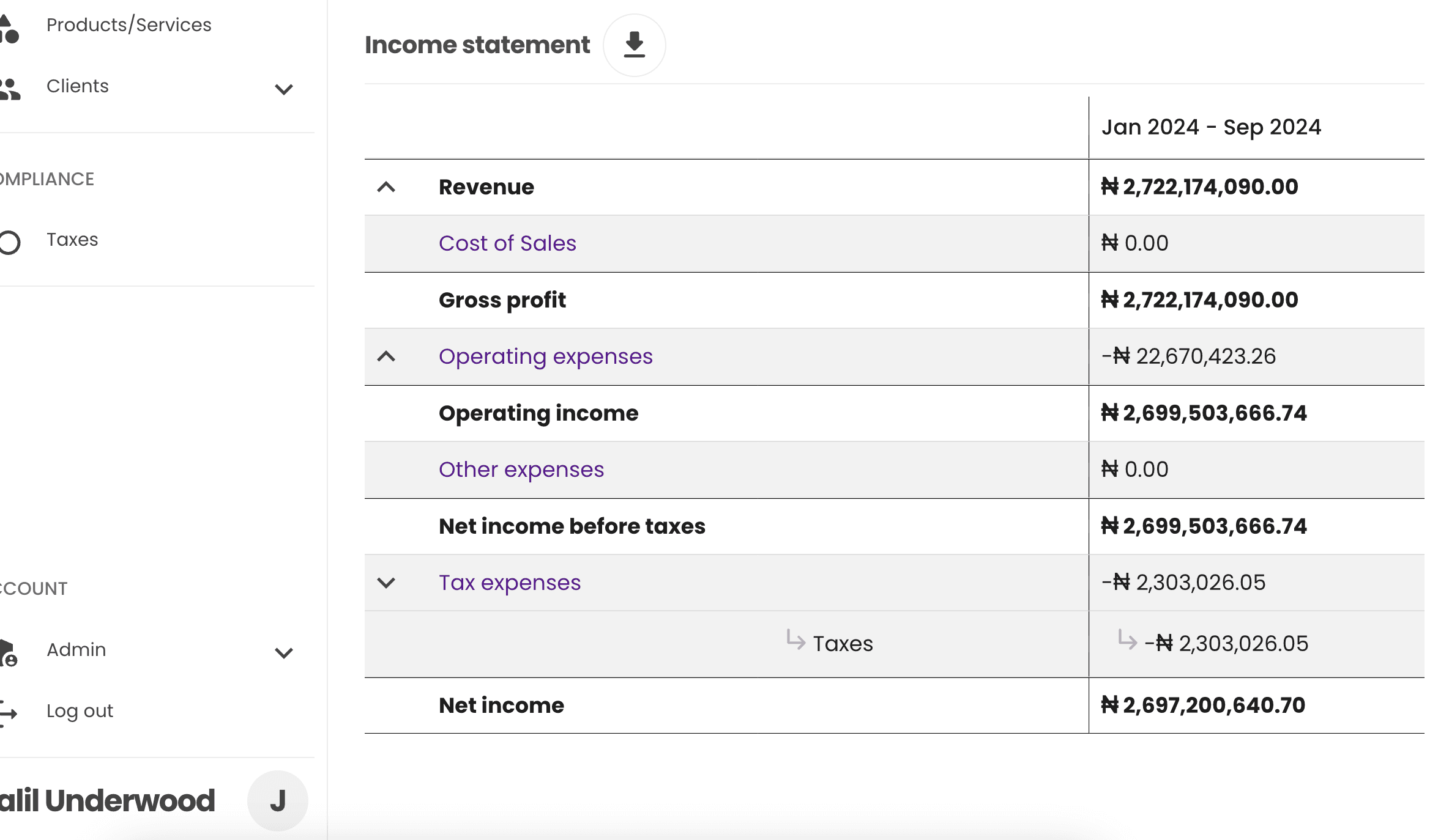 Income statement with tax expenses